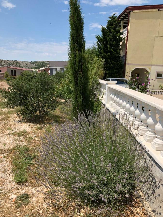 צזריקה Apartmani Gabi מראה חיצוני תמונה