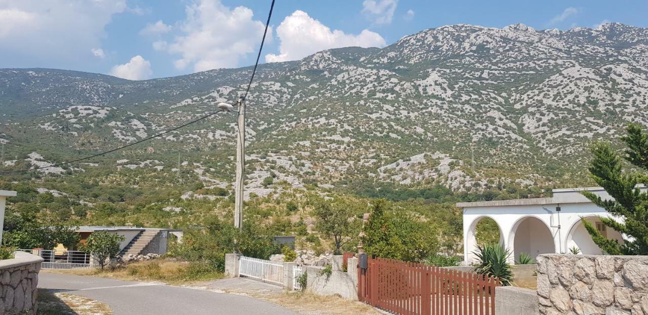 צזריקה Apartmani Gabi מראה חיצוני תמונה